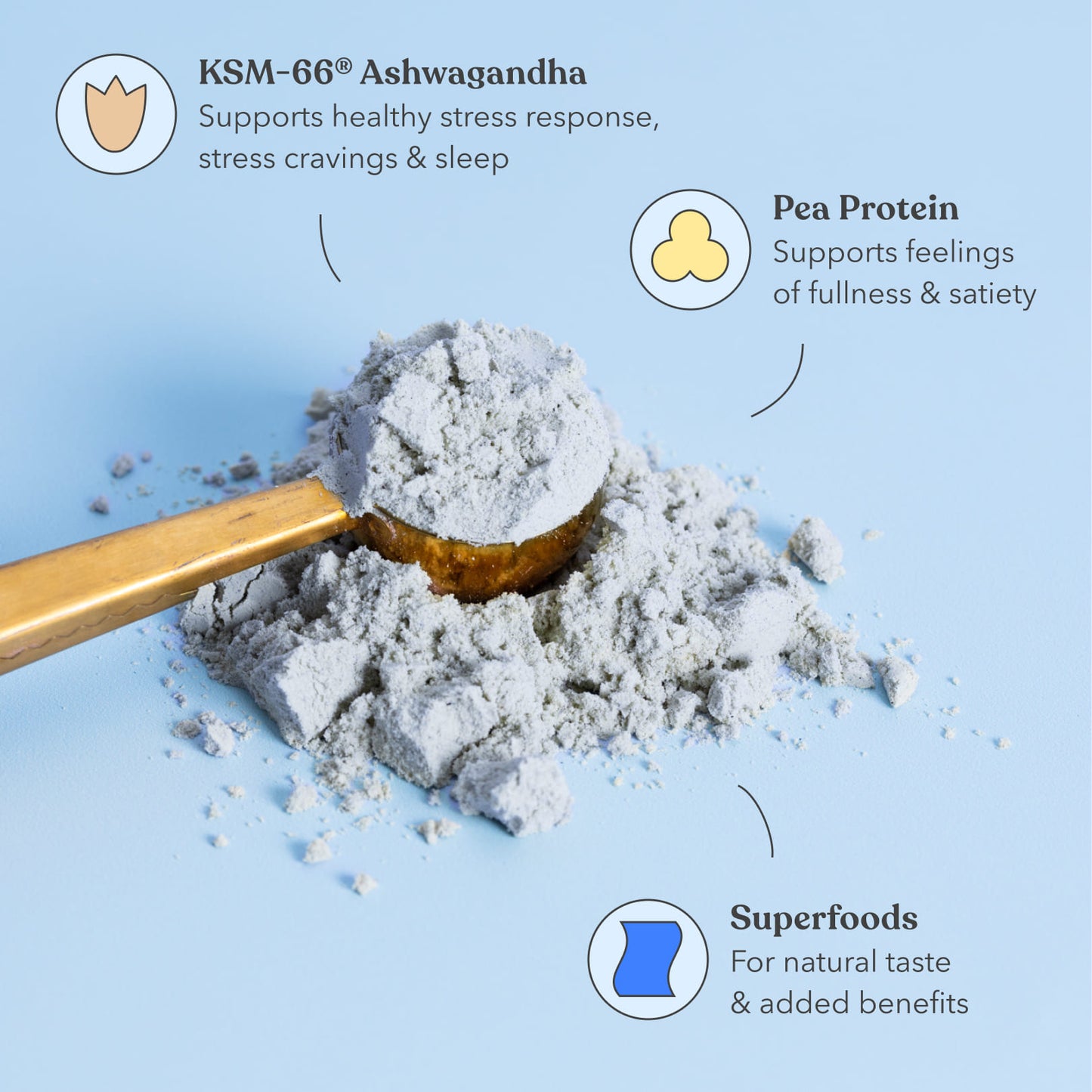 Functional Protein - Moodi - Ingredients around powder in a scoop