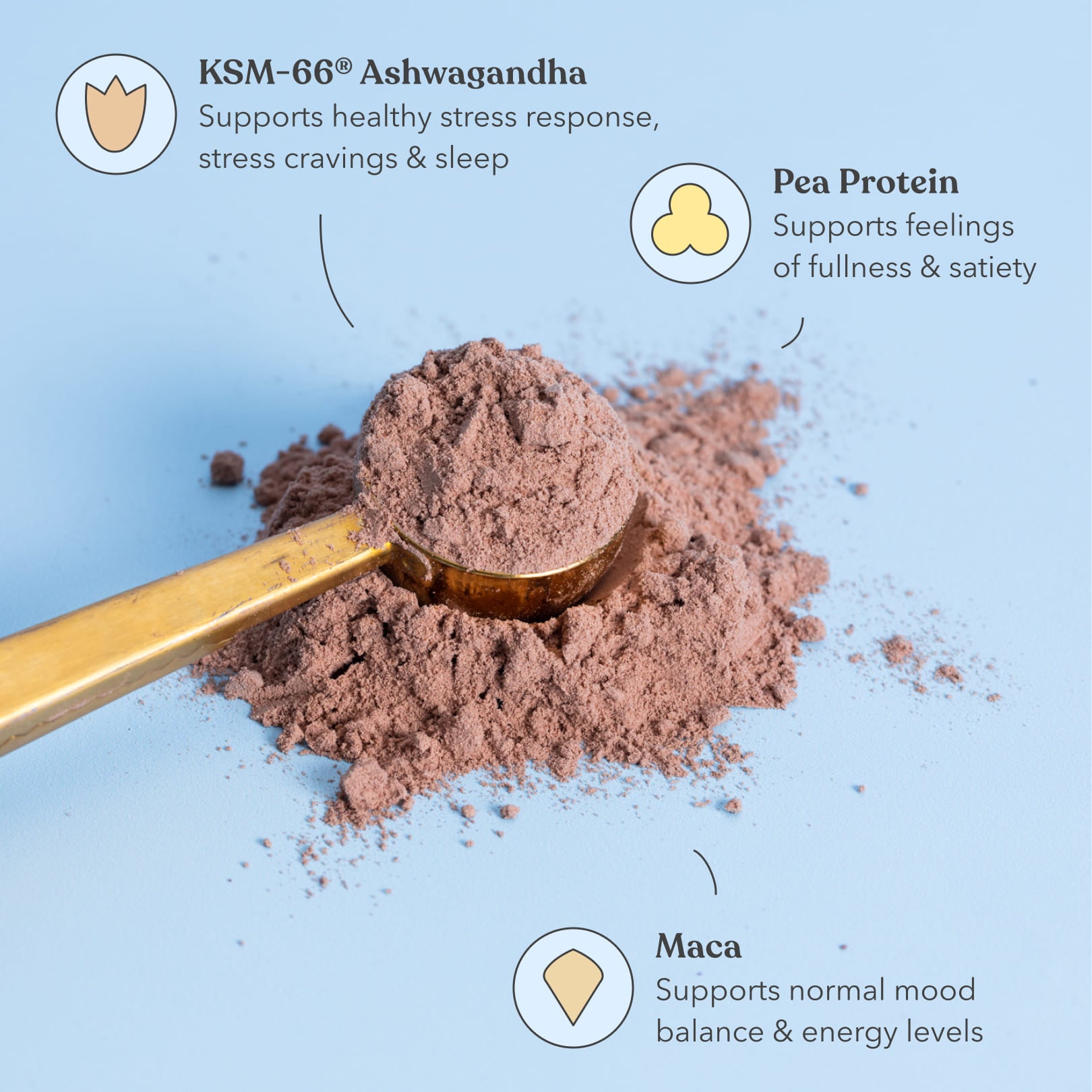 Cocoa powder with a gold spoon on a light blue background, featuring KSM-66 Ashwagandha, Pea Protein, and Maca labels.