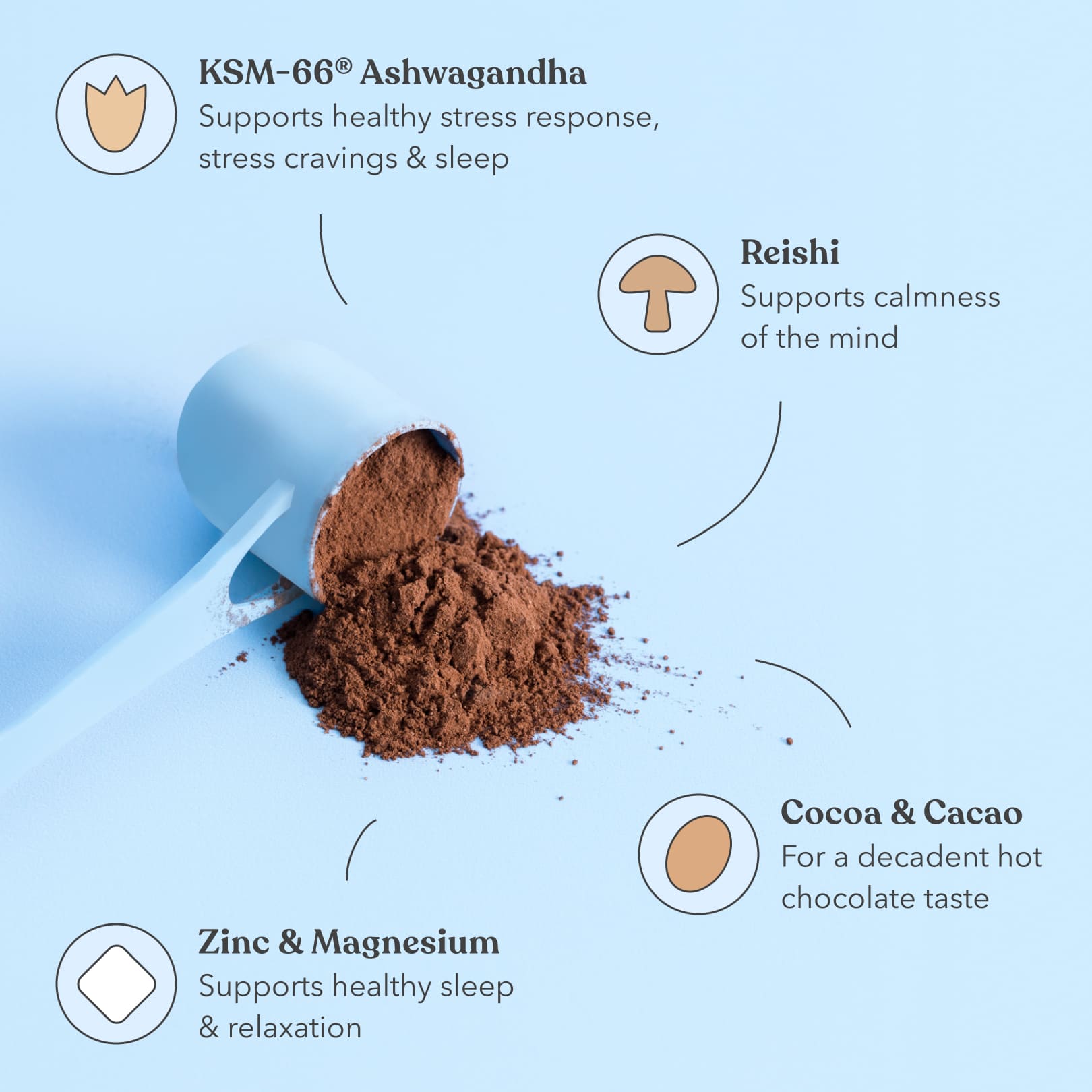 Hot Chocolate - Moodi - Functional PM Blend - Ingredients