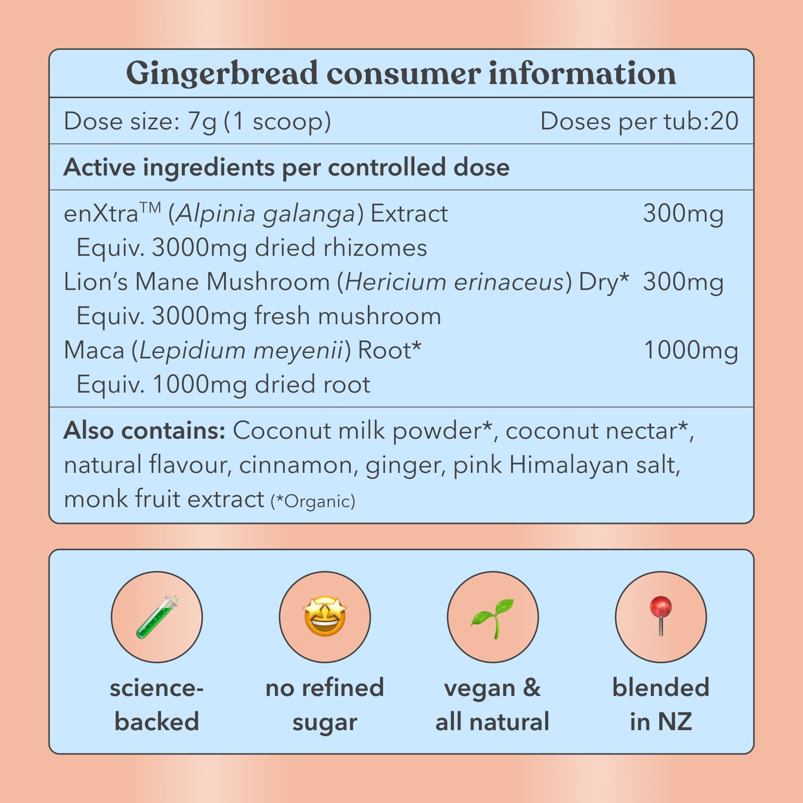 Complete Festive Bundle
