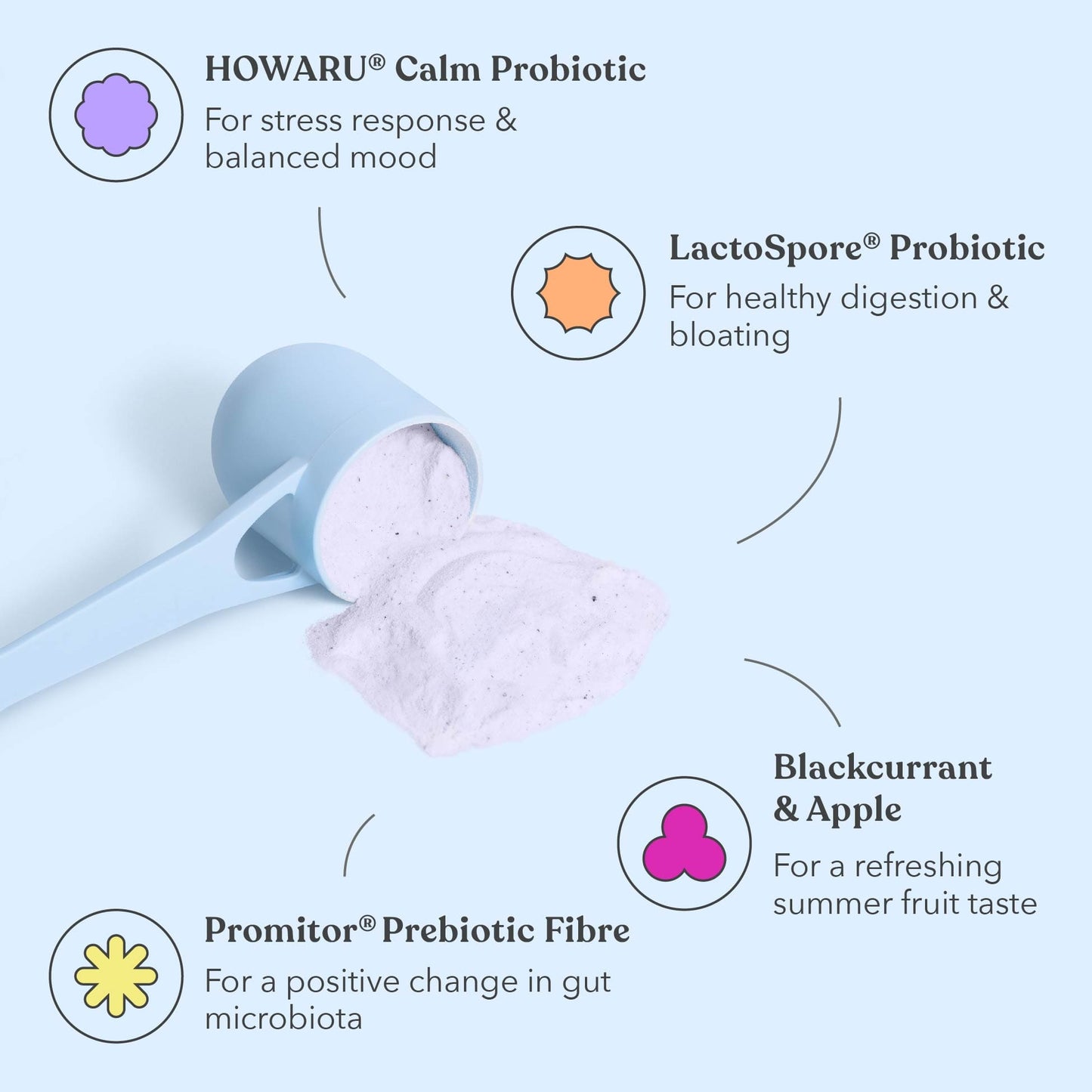 Blackcurrant Apple - Pre + Probiotic Blend - Ingredients - Moodi