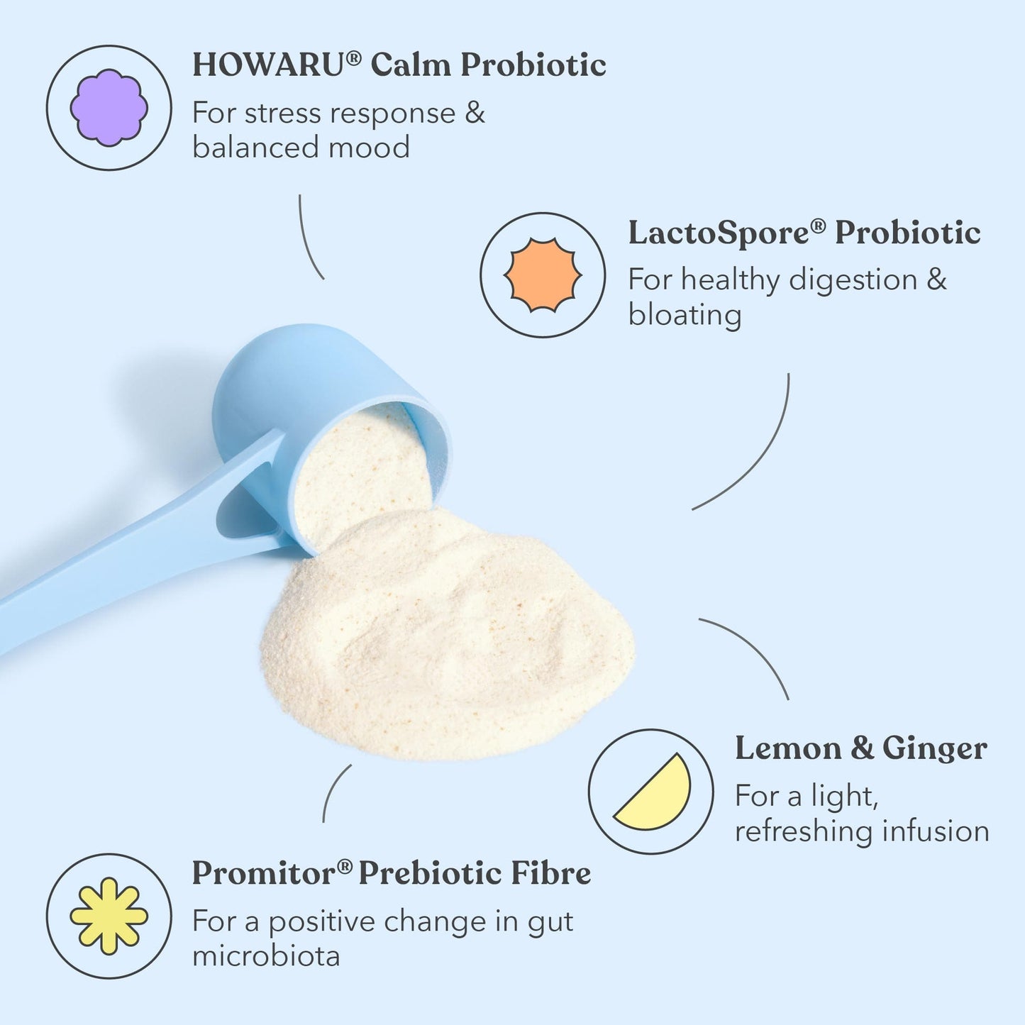 Lemon Ginger - Pre + Probiotic Blend - Moodi - Ingredients