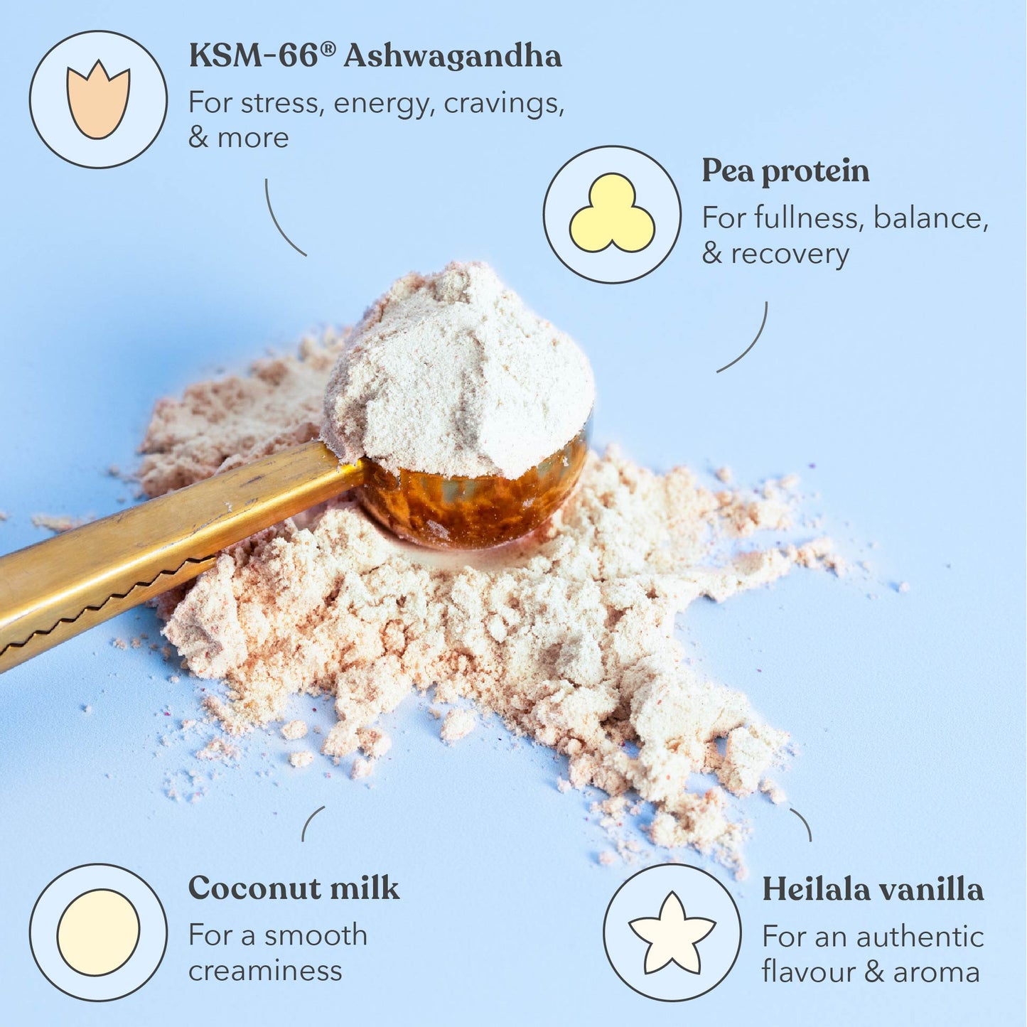 Vanilla Pavlova - Functional Protein - Moodi