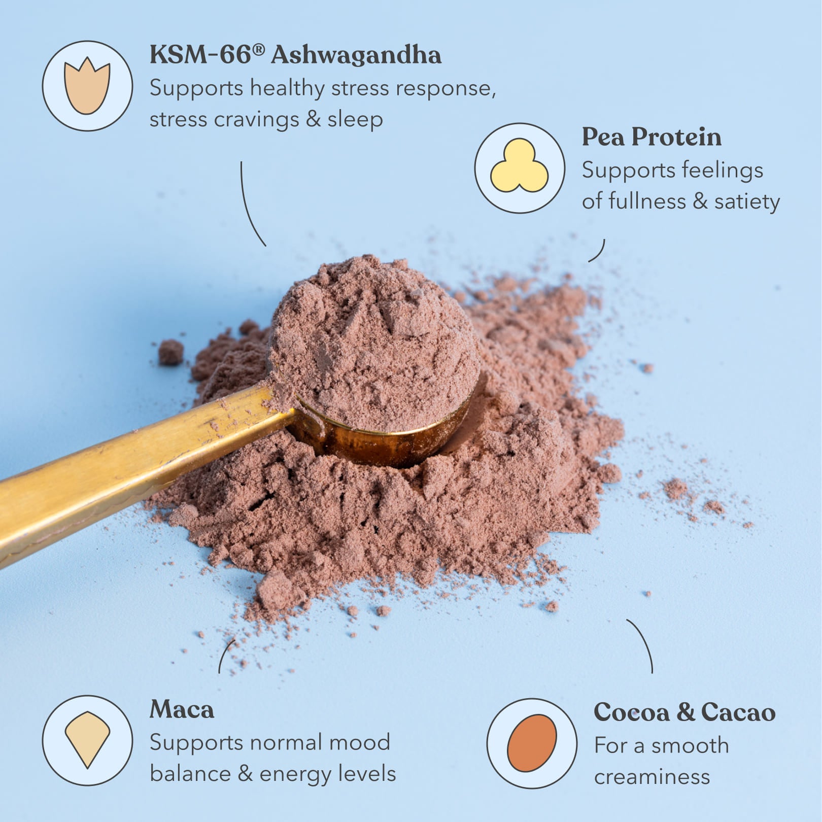 Chocolate Fudge - Moodi - Functional Protein - Ingredients