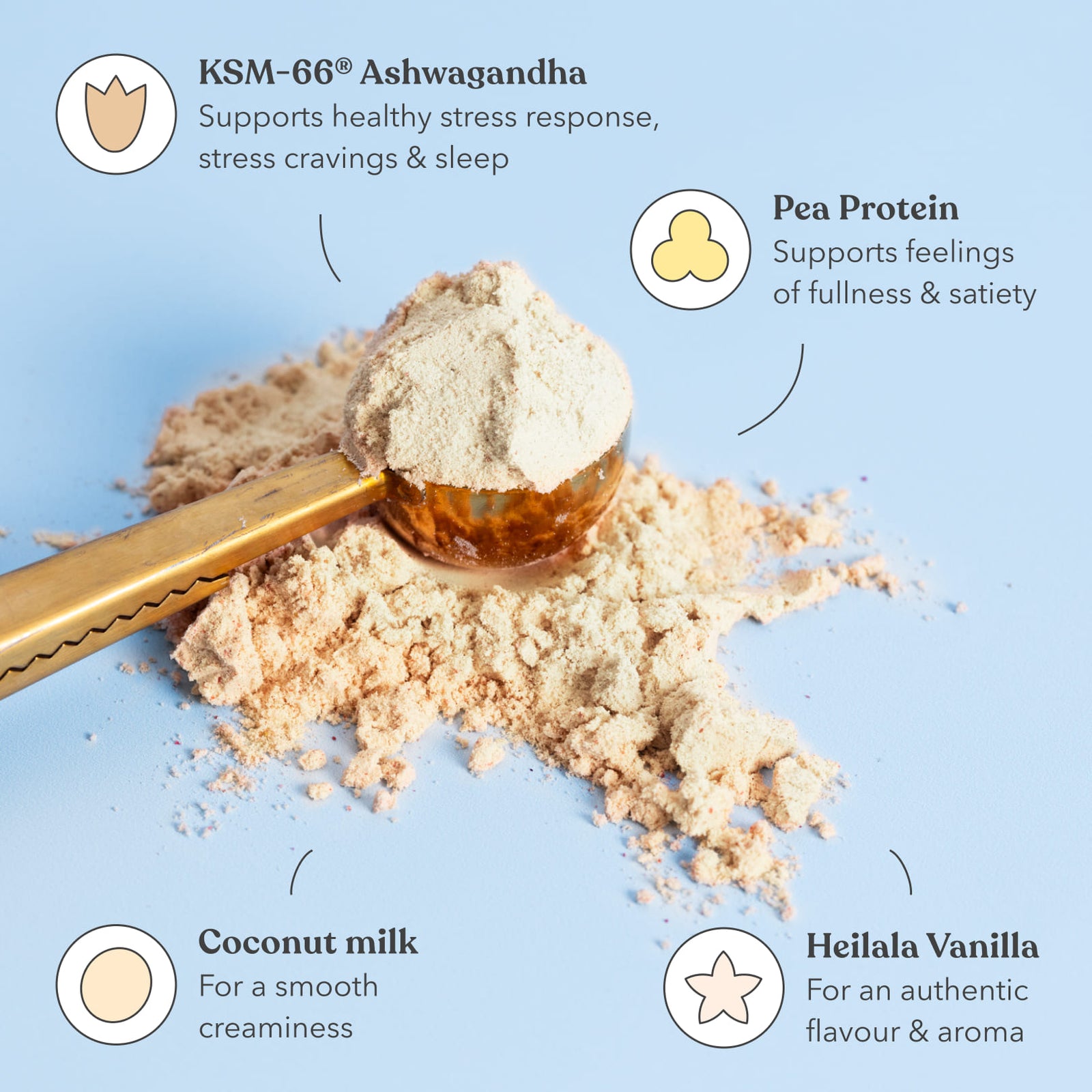 Vanilla Pavlova - Moodi - Functional Protein - Ingredients