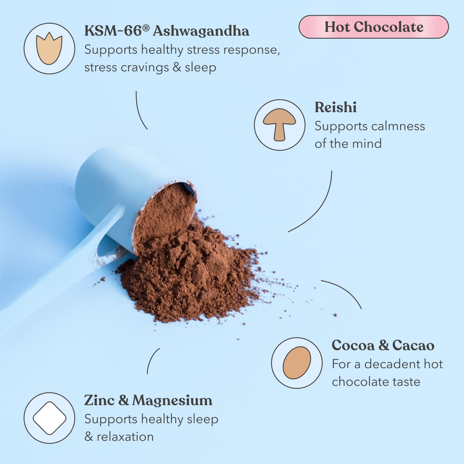 Hot Chocolate - Moodi - Functional PM Blend - Ingredients