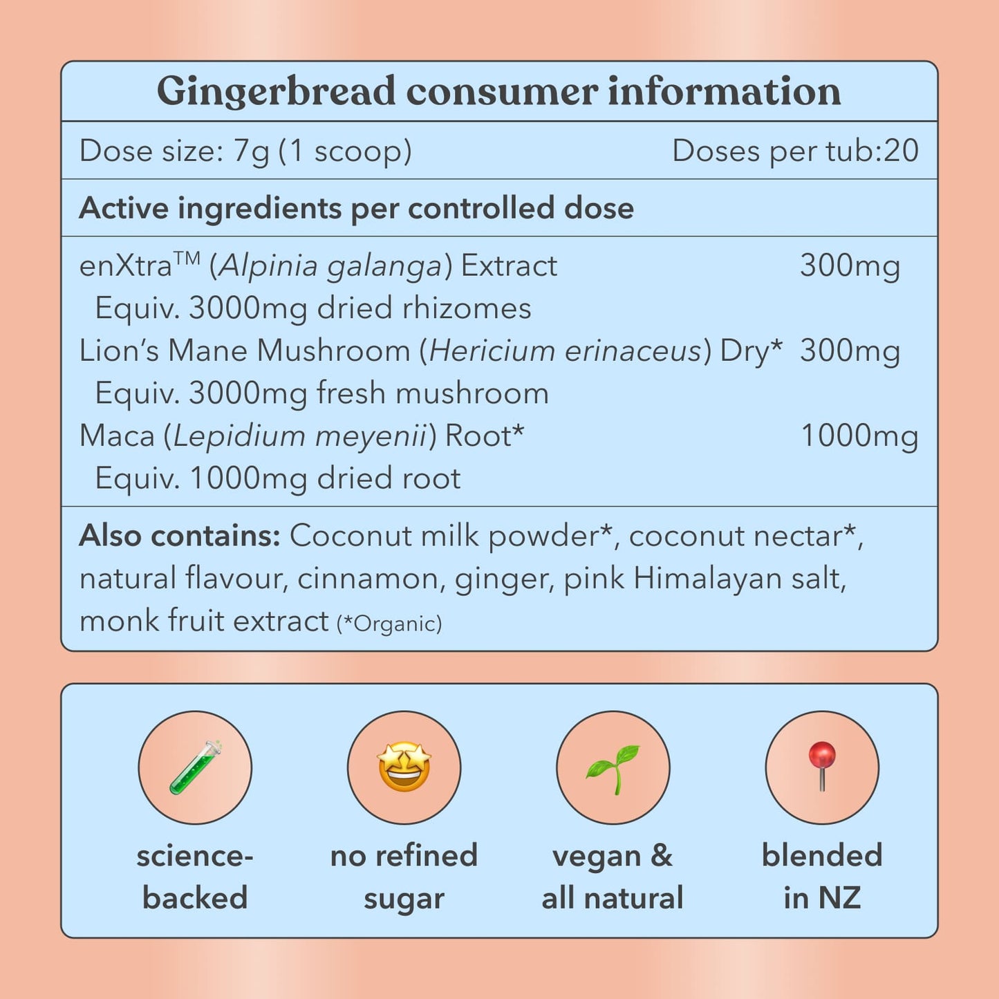 Complete Festive Bundle
