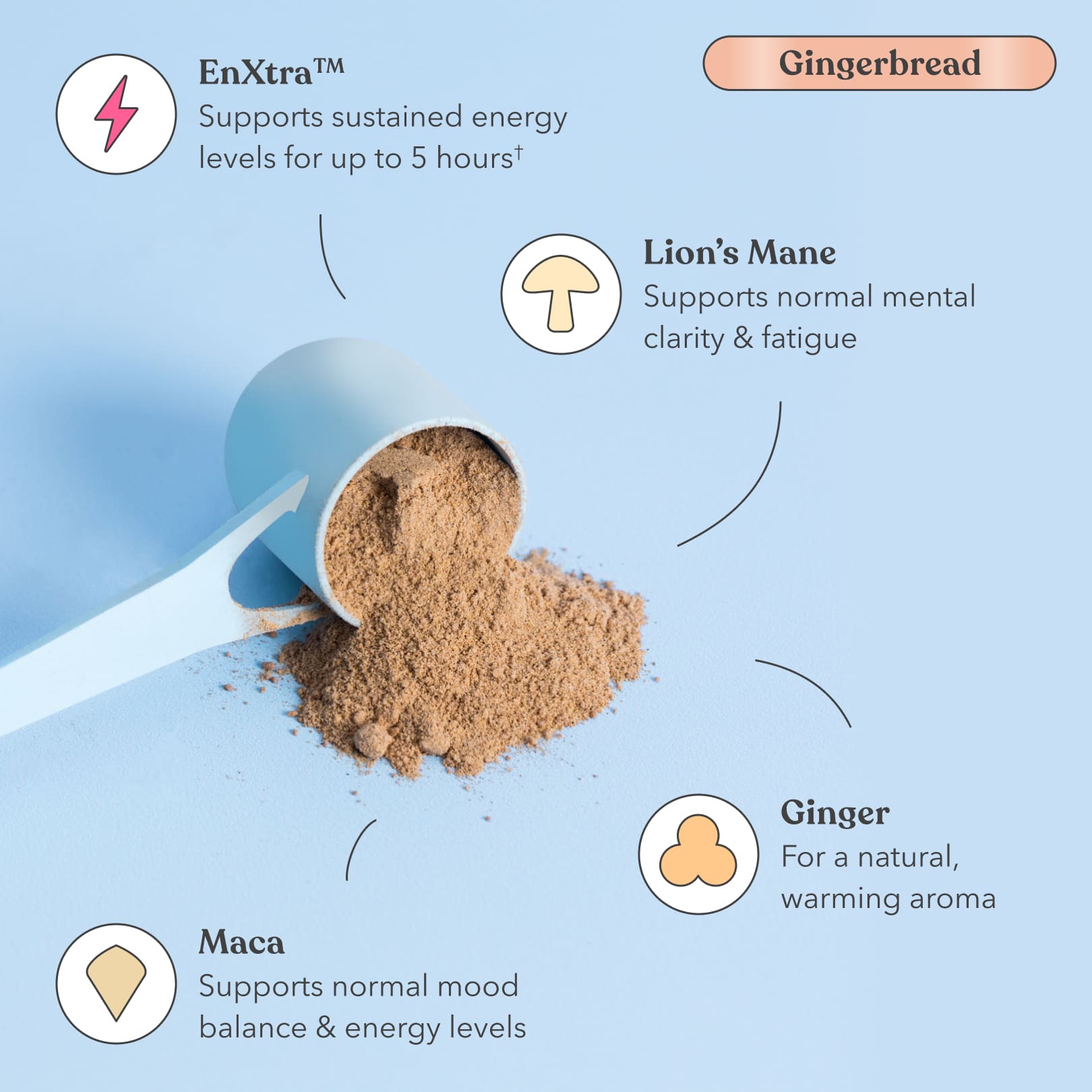 Gingerbread - Moodi - Functional AM Blend - Ingredients