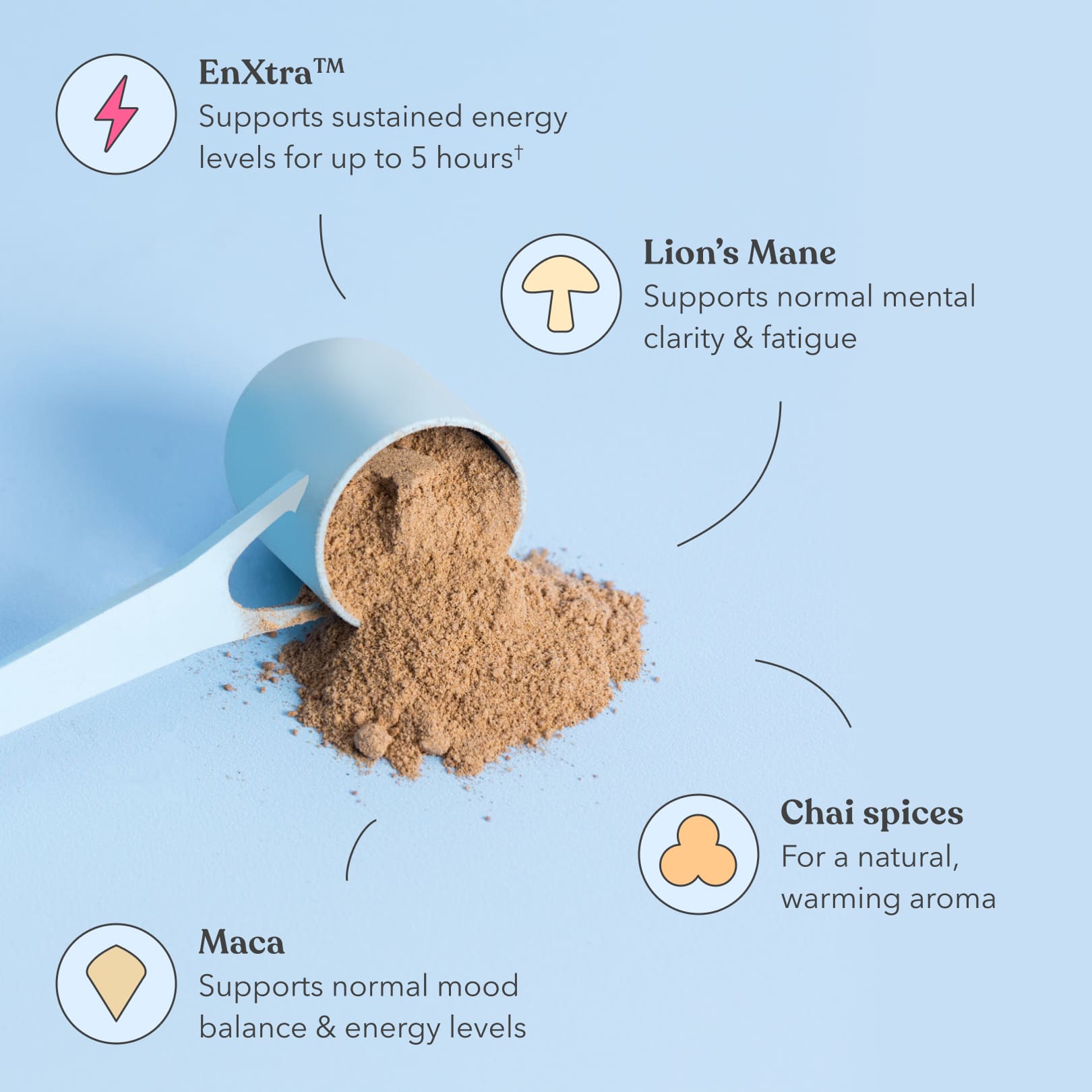 Chai - Moodi - Functional AM Blend - Ingredients