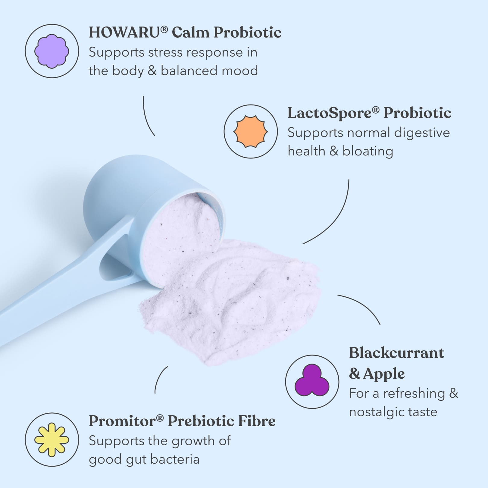 Blackcurrant Apple - Pre + Probiotic Blend - Ingredients - Moodi