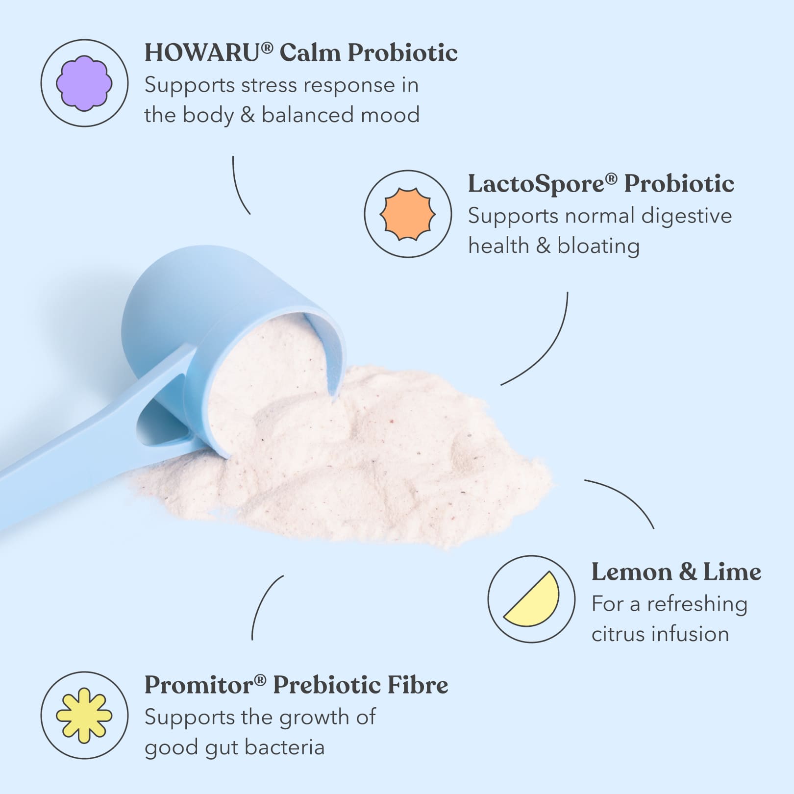 Lemon Lime - Pre + Probiotic Blend - For gut, stress, mood - Moodi - Ingredients