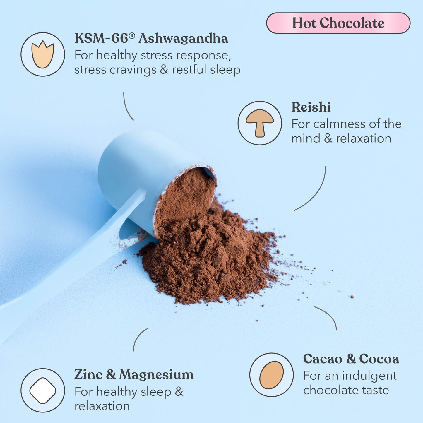 Original AM-PM Bundle - Moodi - Functional AM-PM Blends