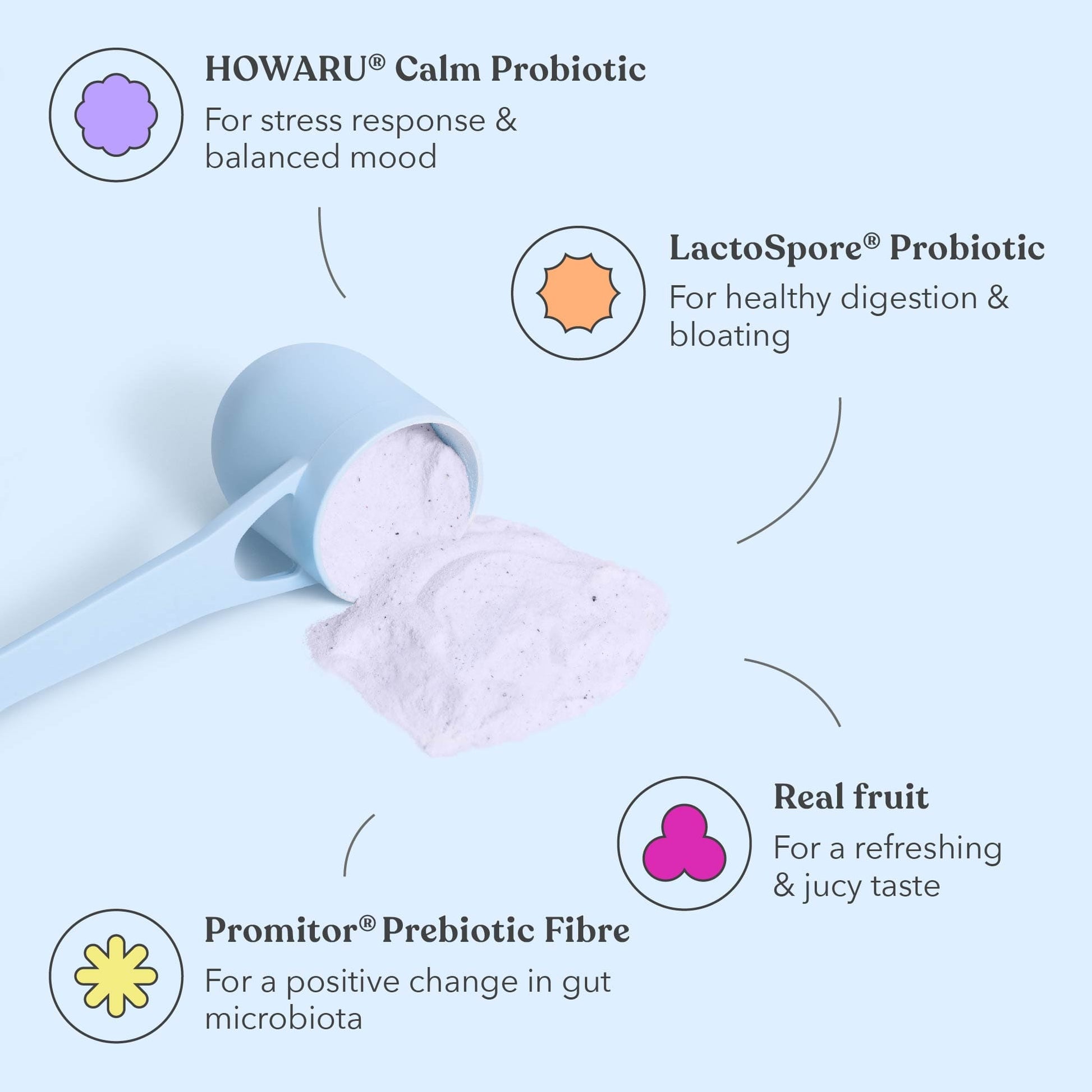 Classic Pre + Probiotic Bundle - For Gut, Stress & Mood - Moodi - Ingredients