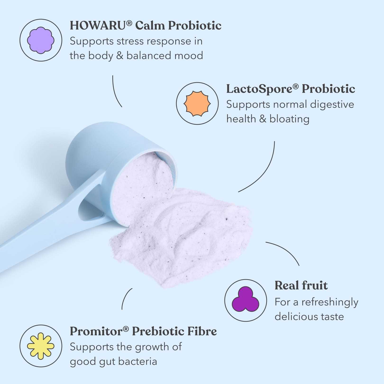 Classic Pre + Probiotic Bundle - For Gut, Stress & Mood - Moodi - Ingredients