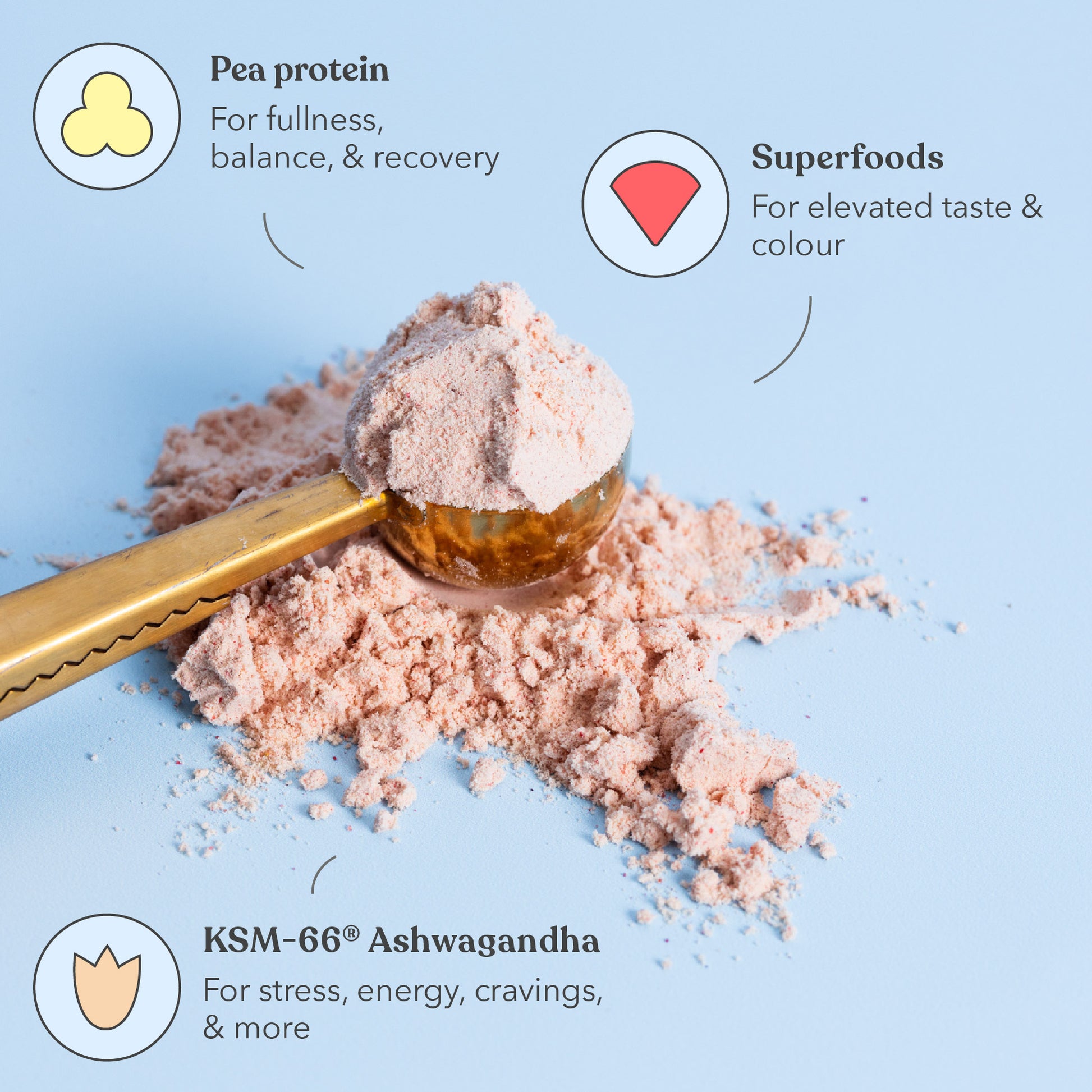 Berry Blush - Functional Protein - Moodi