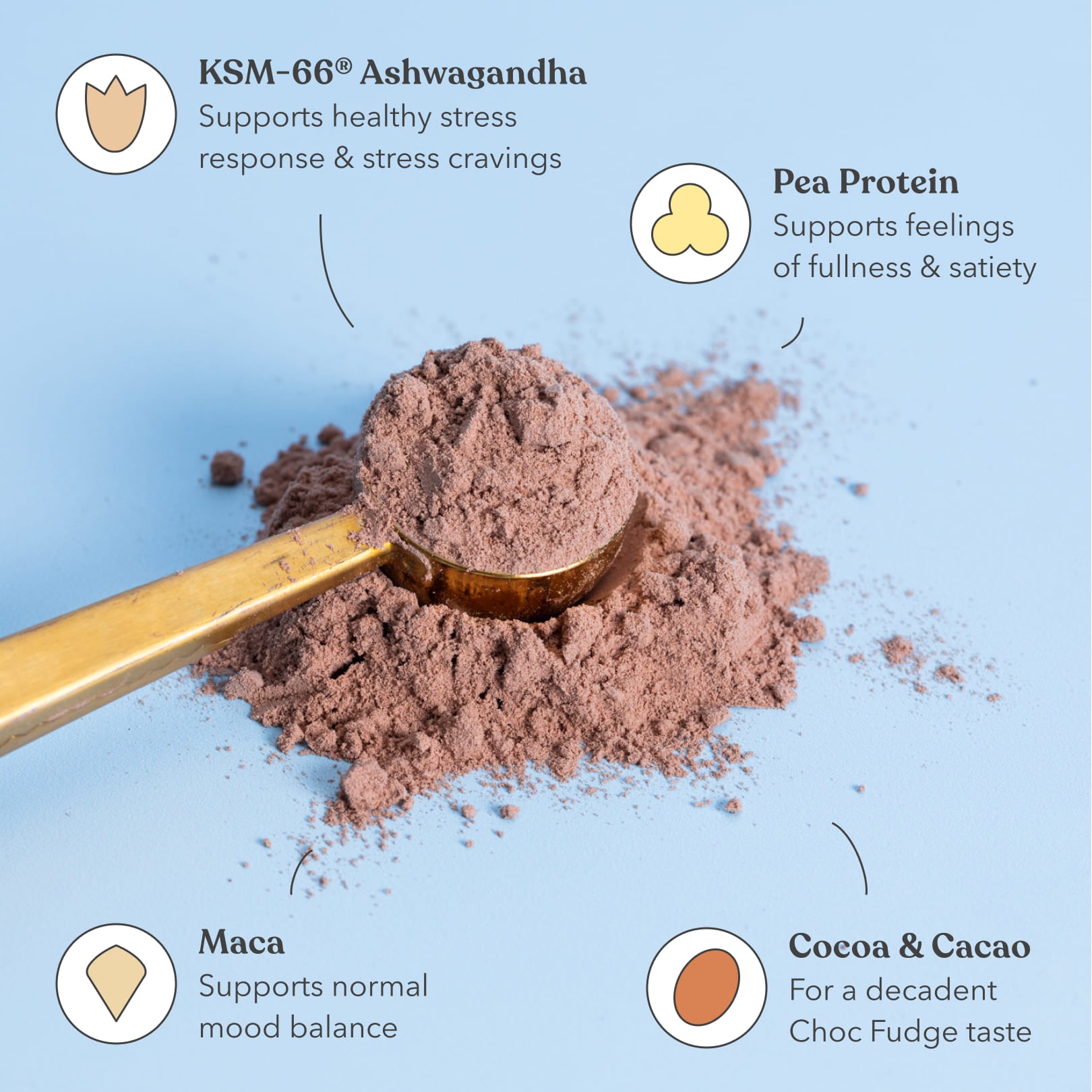 Chocolate Fudge - Moodi - Functional Protein - Ingredients