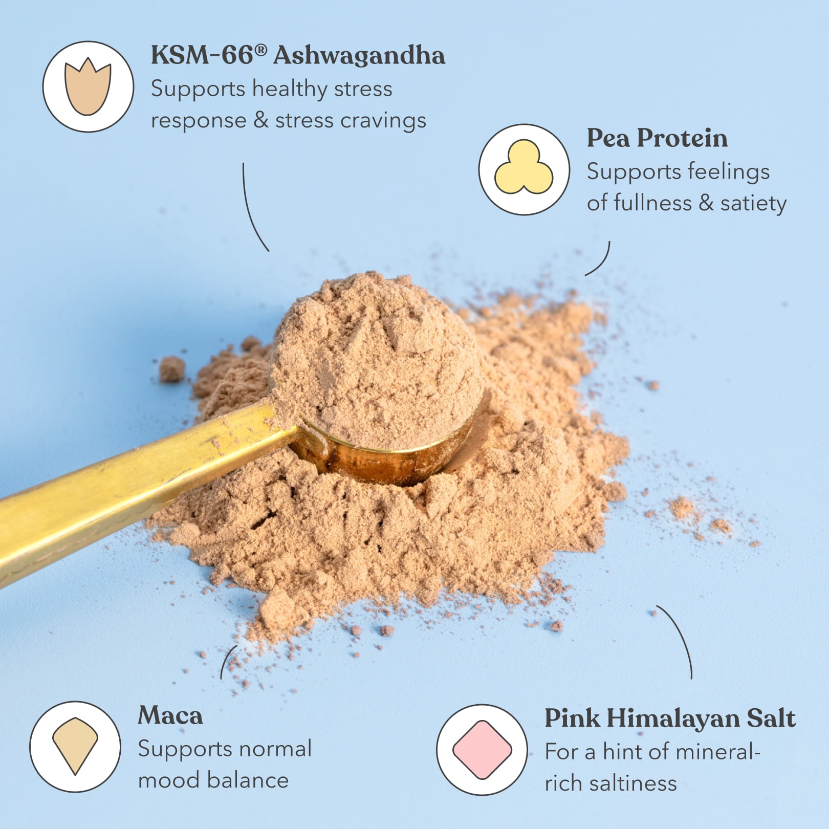 Salted Caramel - Moodi - Functional Protein - Ingredients