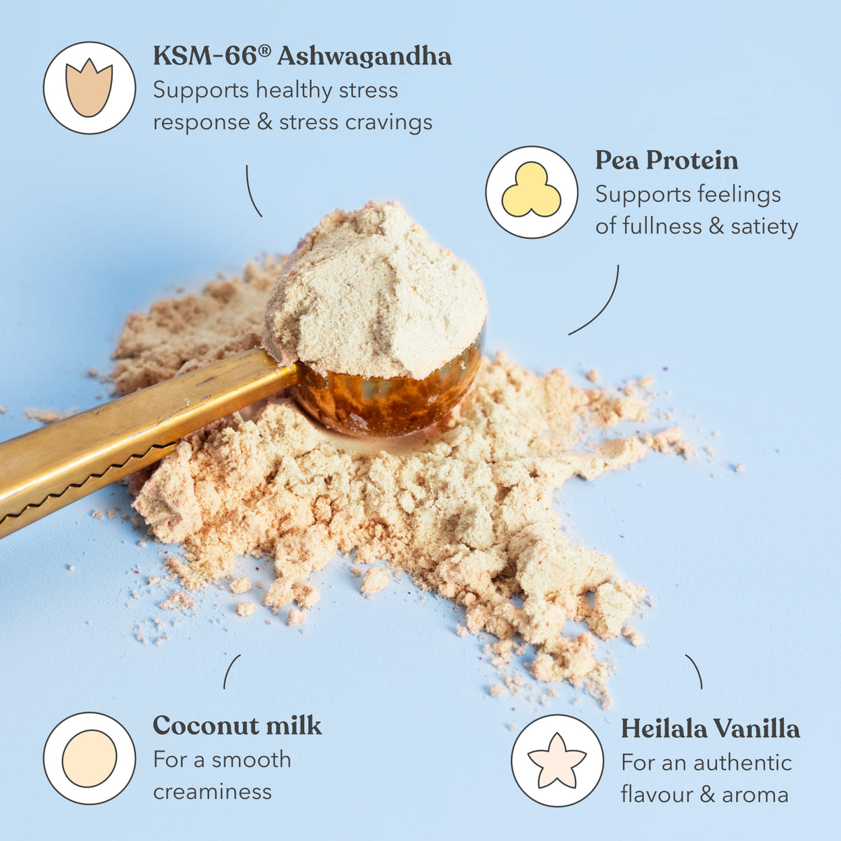 Vanilla Pavlova - Moodi - Functional Protein - Ingredients