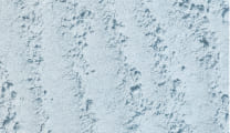 Close-up of Moodi Blue Vanilla powder