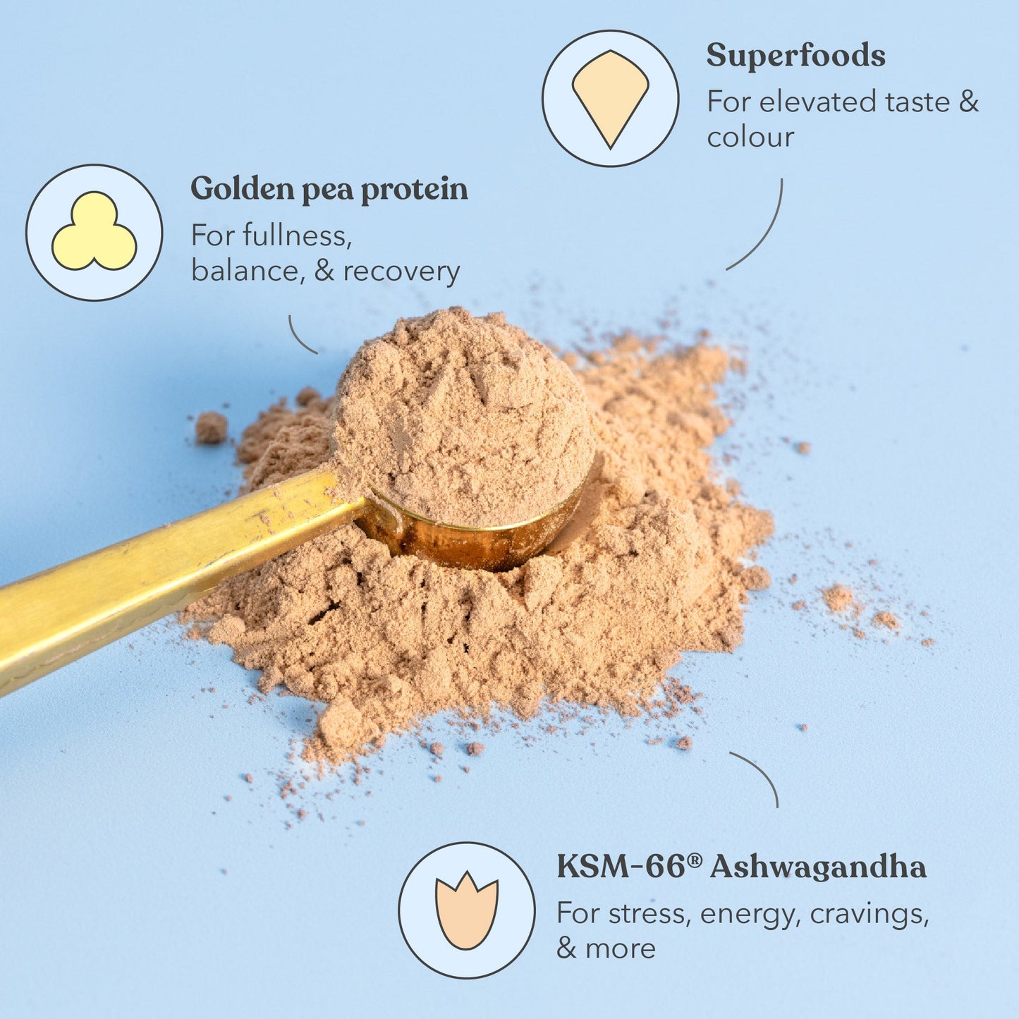 All Day Bundle - Moodi - Functional Protein