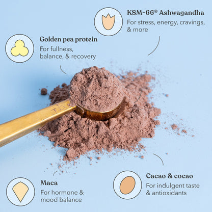 Chocolate Fudge - Moodi - Functional Protein