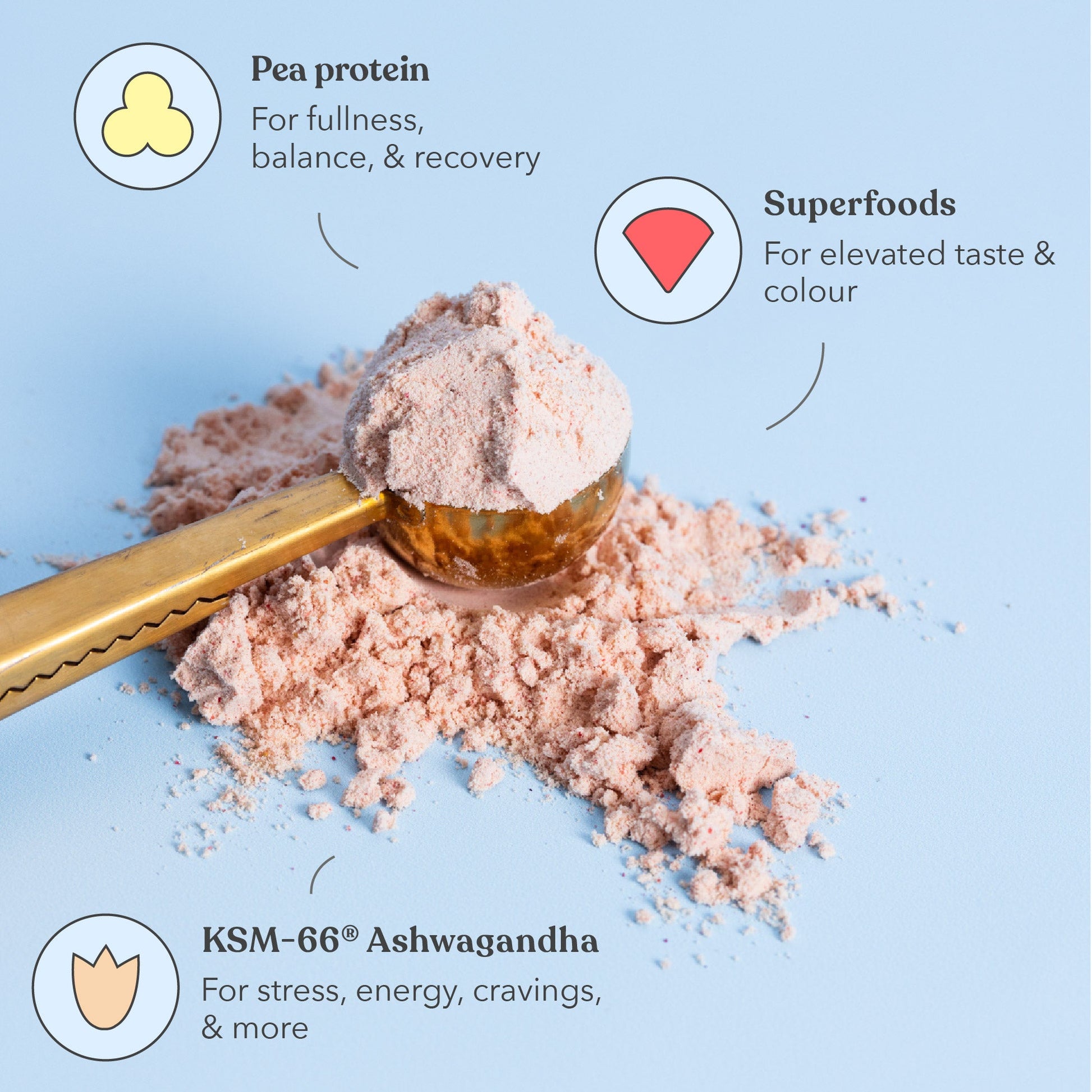 Essentials Bundle - Functional Protein - Moodi