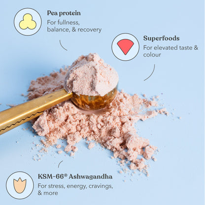 Essentials Bundle - Functional Protein - Moodi