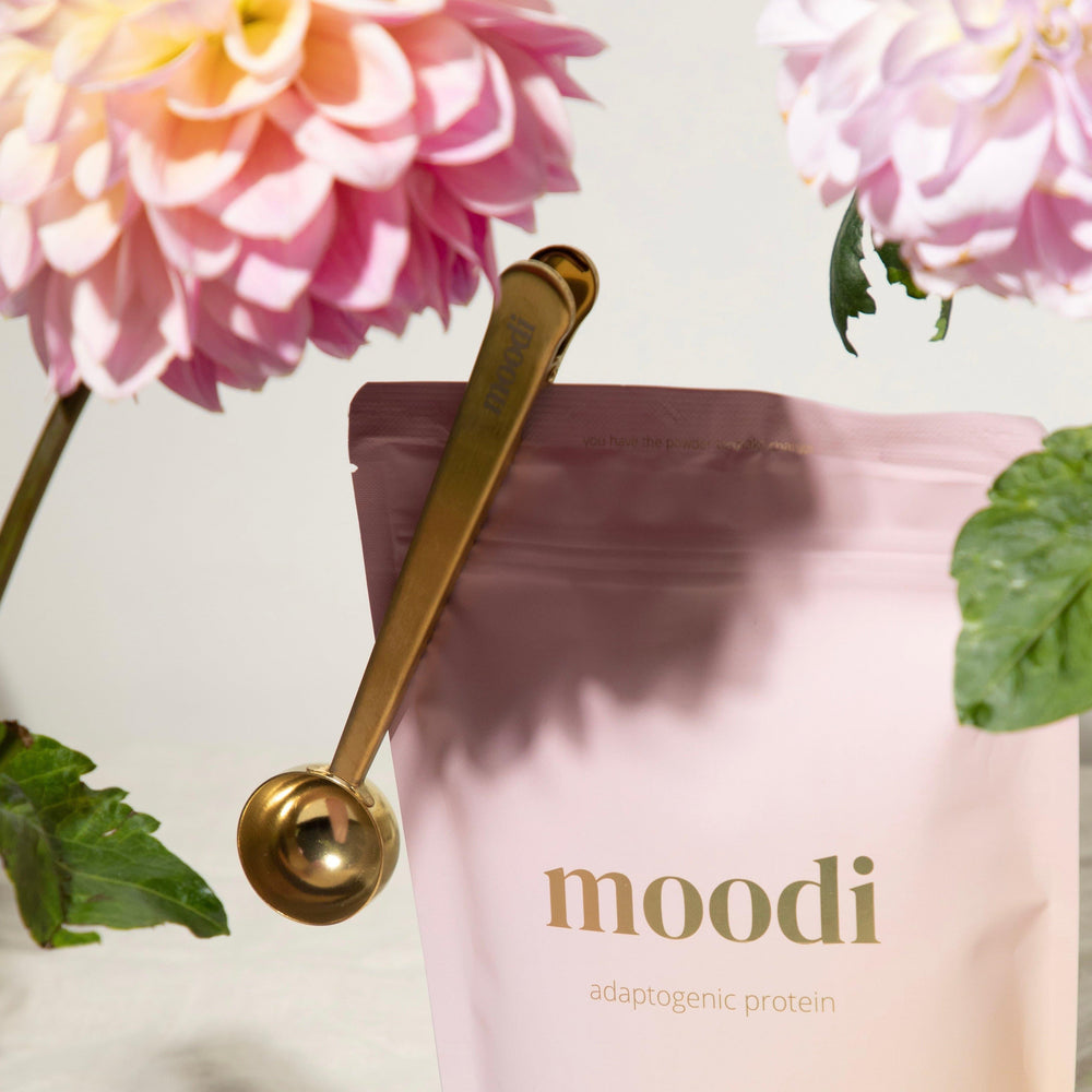 GOLDEN SCOOP CLIP - Moodi