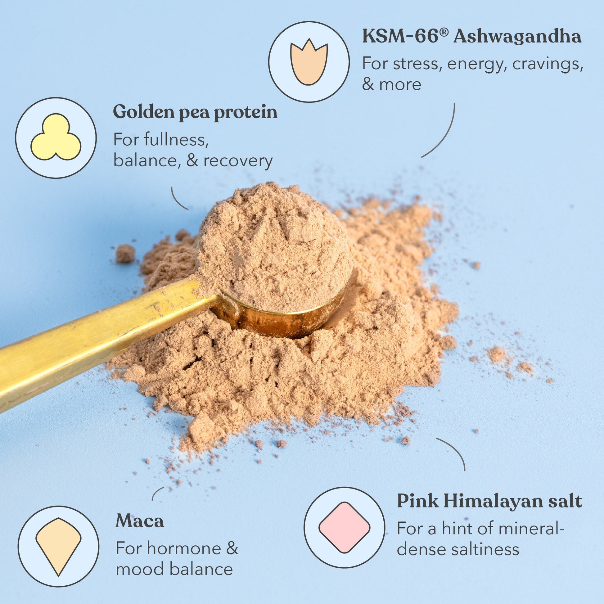 Salted Caramel - Moodi - Functional Protein